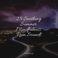 25 Soothing Summer Mindfulness Rain Sounds