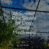 25 Summer Rain Sounds for Deep Sleep Mindfulness