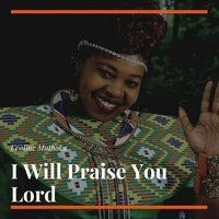 I Will Praise You Lord