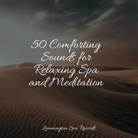 50 Comforting Sounds for Relaxing Spa and Meditation