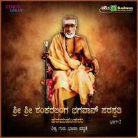 Sri Sri Shanakaralinga Bhagavan Sharasvathi Paramahamsaru, Vol. 2