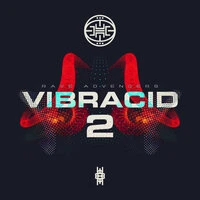 VIBRACID 2 · RAVE ADVENGERS