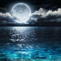 The Timeless Restful Mix - 40 Soothing Melodies to Ease into a Relaxed and Anxiety-Free State