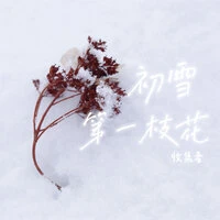 初雪第一枝花