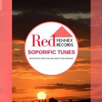Soporific Tunes - Meditation Sedating Melodies For Morning
