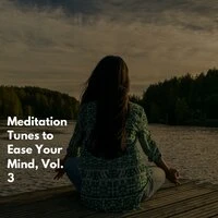 Meditation Tunes to Ease Your Mind, Vol. 3