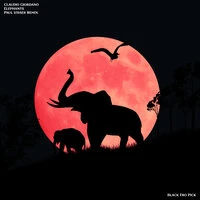 Elephants