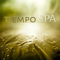 Tiempo SPA (Música de Piano) - Música SPA para Masaje y Relajación, Sonidos de la Naturaleza, Musica de Meditacion, Relaje Su Cuerpo y Su Alma Usando Aromaterapia
