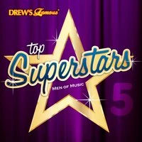 Top Superstars: Men of Music, Vol. 5