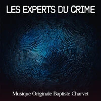 Les Experts du Crime