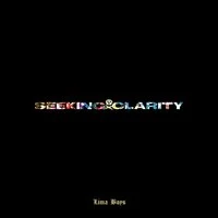 Seeking Clarity