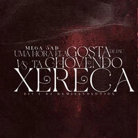 Mega Sad uma Hora Ela Gosta de Pau Vs Tá Chovendo Xereca