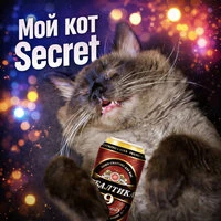 Мой кот Secret