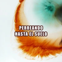 Perreando hasta el suelo