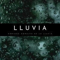Lluvia: Sonidos Corales De La Lluvia