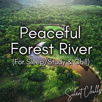 Peaceful Forest River