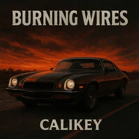Burning Wires
