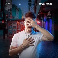 Vos