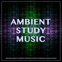 Ambient Study Music: Binaural Beats, Isochronic Tones, Alpha Waves, Delta Waves and Calm Music For Studying Music and Brainwave Entrainment