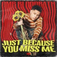 Just Because You Miss Me