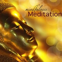 Mindfulness Meditation - Amazing Emotional World Music, Hang Drum, Piano & Flute Music for Zen Meditation