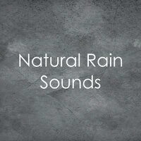 13 Relaxing Natural Rainfall Sounds