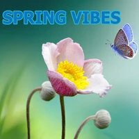 Spring Vibes