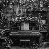 Rewrite the Story