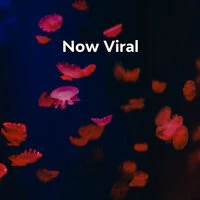 Now Viral
