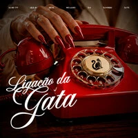 Ligação da Gata