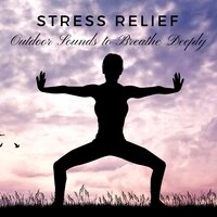 Stress Relief - Highly Effective New Age Music, Outdoor Sounds to Breathe Deeply, Meditate to Help Ease Anxiety