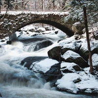 Sounds of Nature: Rainy Day by the Lake
