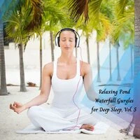Relaxing Pond Waterfall Gurgles For Deep Sleep, Vol. 5