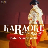 Karaoke - In the Style of Pedro Suarez Vertiz
