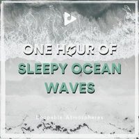 1 Hour Of Sleepy Ocean Waves