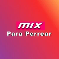 Mix Para Perrear