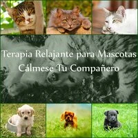Terapia Relajante para Mascotas: Cálmese Tu Compañero, Música de Piano Suave con Sonidos de la Naturaleza, Terapia de Música para Perros y Gatos, Ayuda para Dormir, Alivio de Estrés