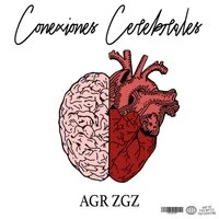 Conexiones Cerebrales