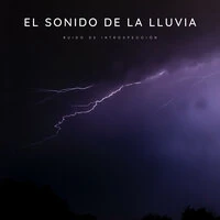 El Sonido De La Lluvia: Ruido De Introspección