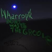 Don't Waste the Groove