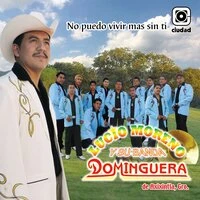 No puedo vivir mas sin ti