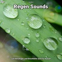 #01 Regen Sounds zum Beruhigen und Einschlafen auch für Katzen