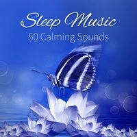 Sleep Music: 50 Calming Sounds to Healthy and Restful Sleep, Close Your Eyes & Good Night