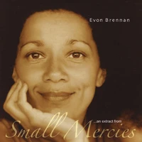 ...An Extract From Small Mercies