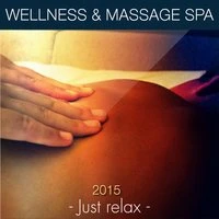 Wellness & Massage Spa 2015: Just Relax