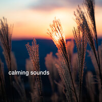 Calming Sounds