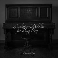 25 Calming Melodies for Deep Sleep