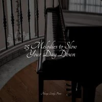 25 Melodies to Slow Your Day Down