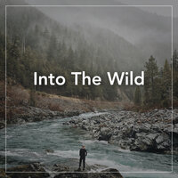 Into The Wild