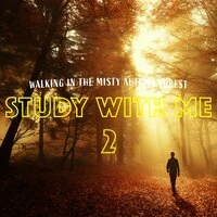 Study with Me: Walking in the Misty Autumn Forest 2